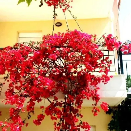 Beautiful And Cosy Apartment!!! Apartmán *